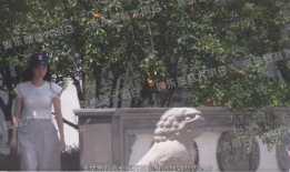 王楚然吃瓜爆料,娱乐圈幕后真相大揭秘